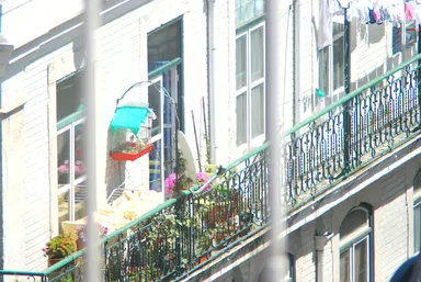 A sunlit balcony with green railings, adorned with potted plants and a hanging birdcage. Clothes are drying on a line above, and a satellite dish is mounted on the railing. The scene captures a lively, urban residential atmosphere.
