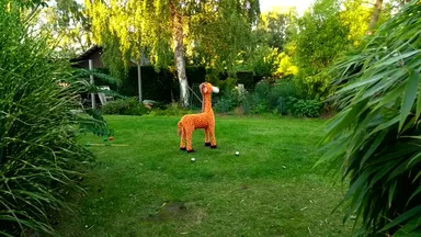 Inflatable giraffe toy standing on a grassy lawn in a lush garden with trees, bushes, and garden tools in the background