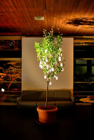 A Yoko Ono wish tree standing in a terracotta pot, its branches adorned with handwritten wishes on small white tags. The tree is centered in a room with a wooden ceiling, a gray sofa, and large windows showing a view of trees outside.